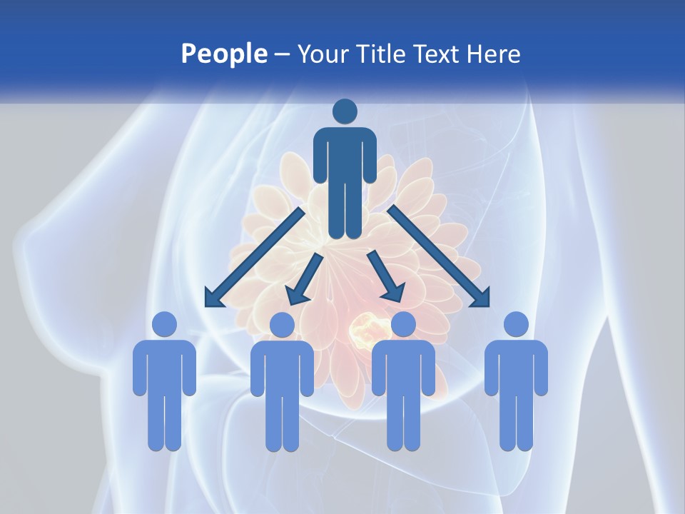 The Stomach Is Shown With A Flower On It PowerPoint Template