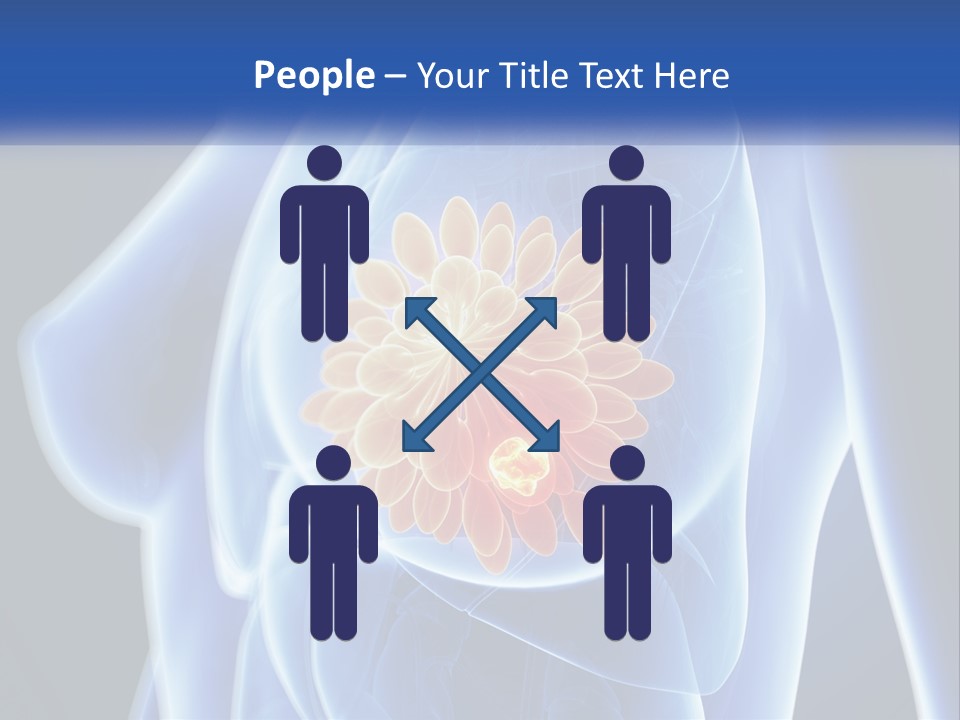 The Stomach Is Shown With A Flower On It PowerPoint Template