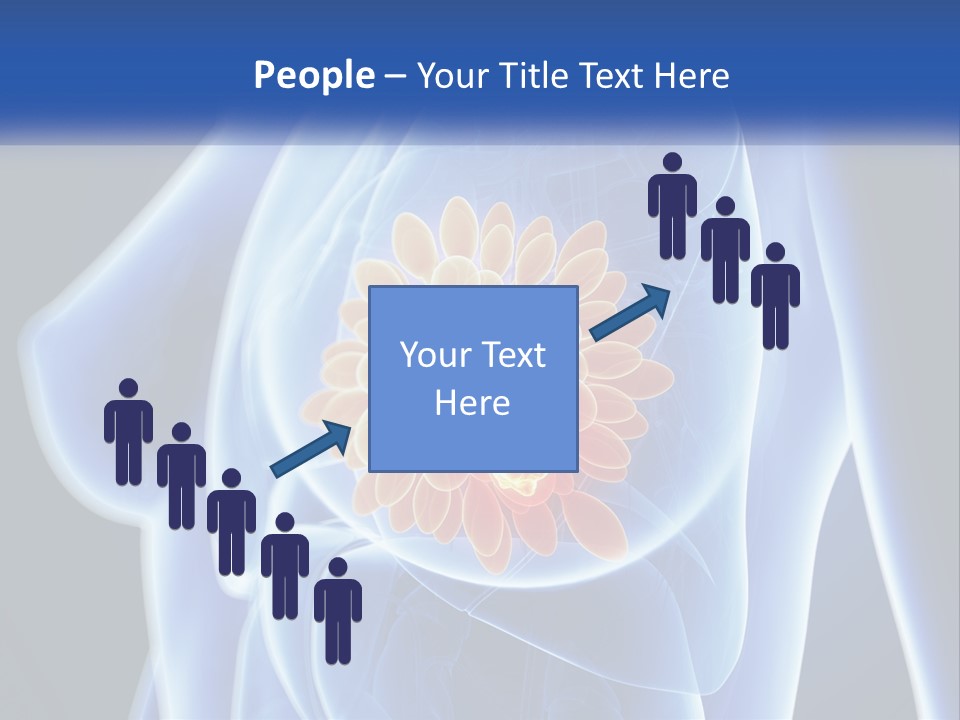 The Stomach Is Shown With A Flower On It PowerPoint Template