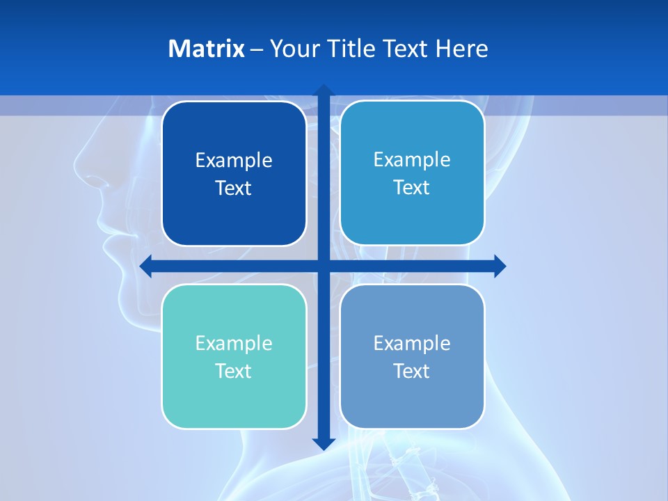 The Human Brain Powerpoint Presentation Is Shown PowerPoint Template