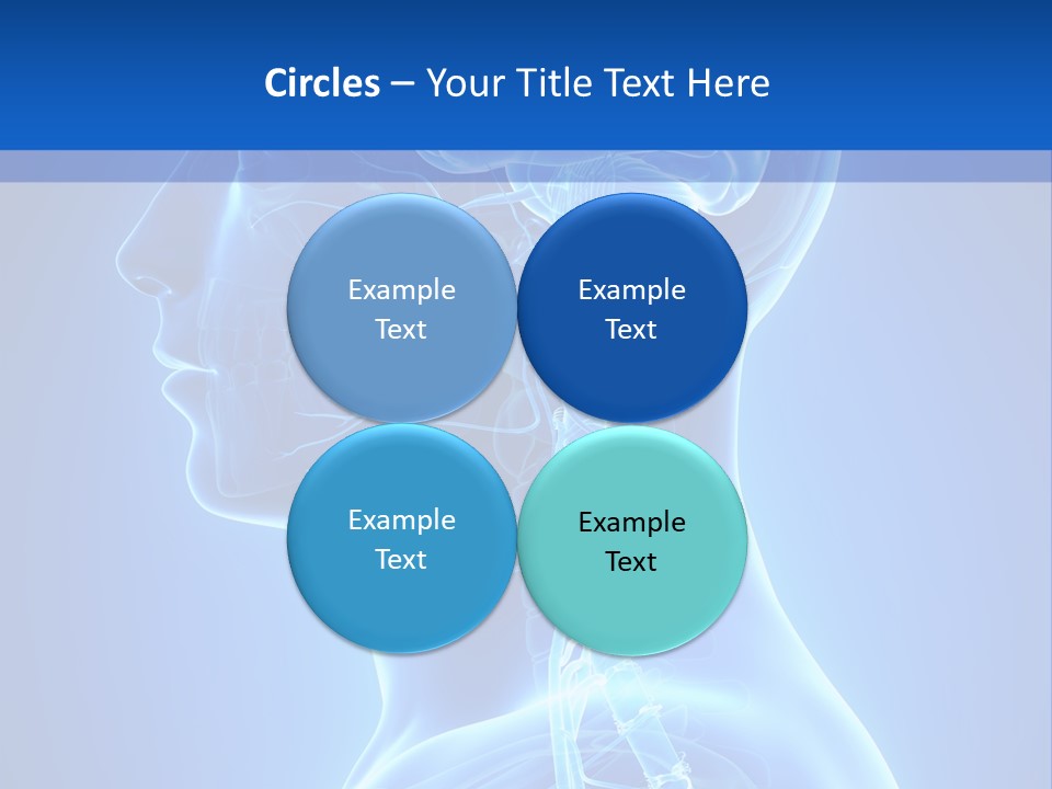 The Human Brain Powerpoint Presentation Is Shown PowerPoint Template