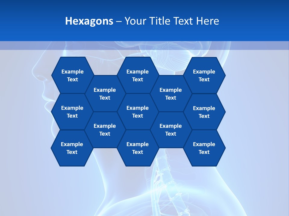 The Human Brain Powerpoint Presentation Is Shown PowerPoint Template