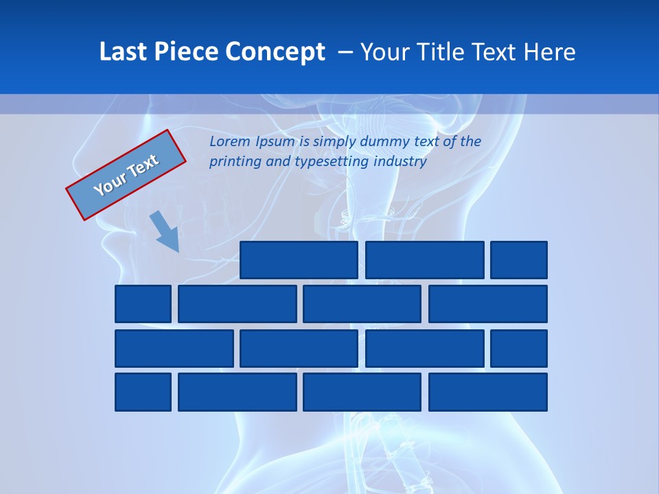 The Human Brain Powerpoint Presentation Is Shown PowerPoint Template