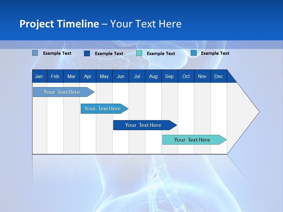 The Human Brain Powerpoint Presentation Is Shown PowerPoint Template