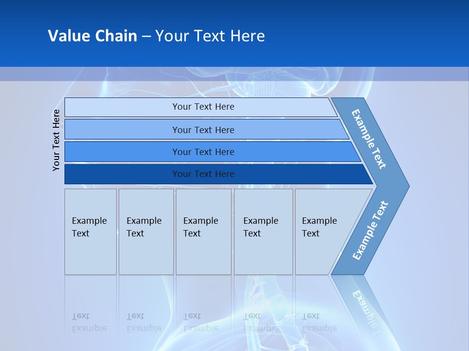 The Human Brain Powerpoint Presentation Is Shown PowerPoint Template