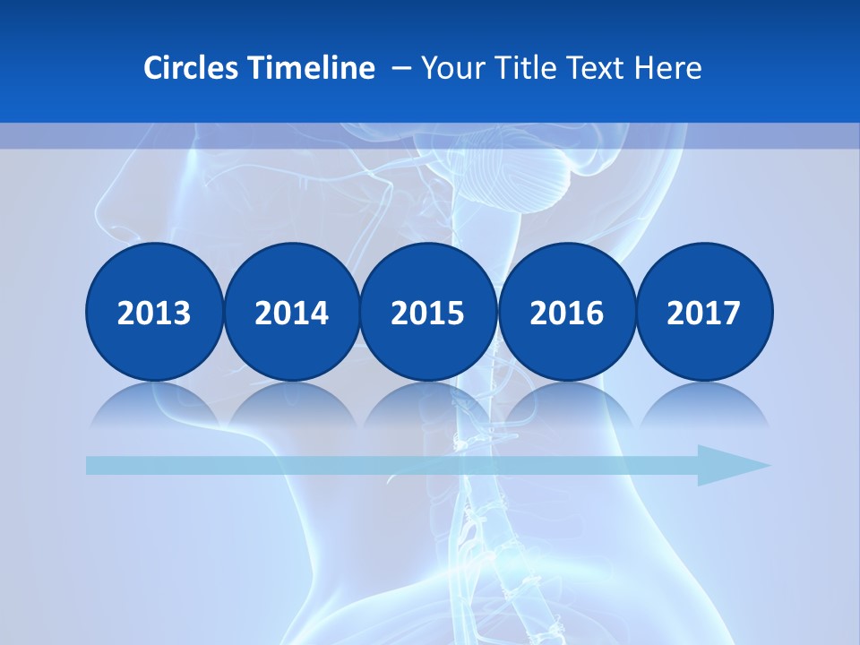 The Human Brain Powerpoint Presentation Is Shown PowerPoint Template