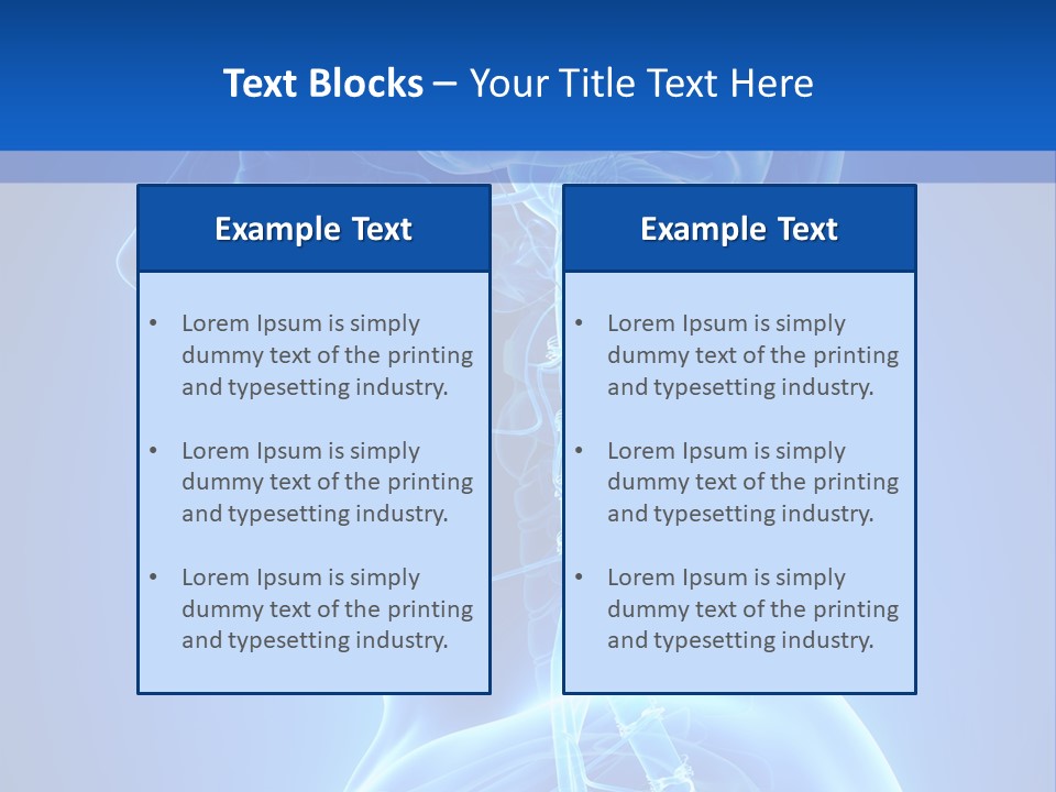 The Human Brain Powerpoint Presentation Is Shown PowerPoint Template
