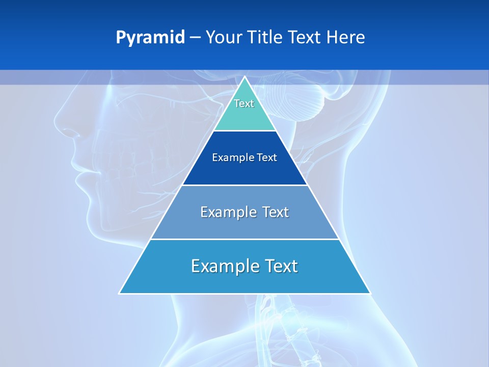 The Human Brain Powerpoint Presentation Is Shown PowerPoint Template