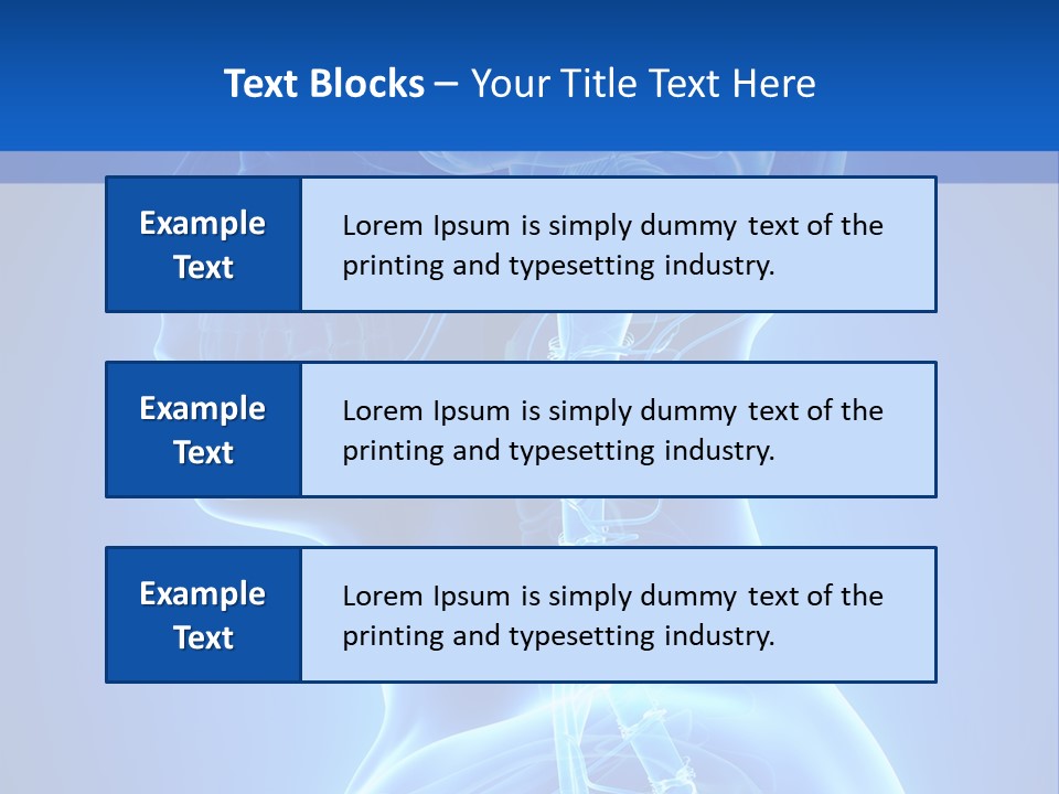 The Human Brain Powerpoint Presentation Is Shown PowerPoint Template