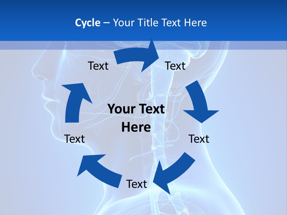 The Human Brain Powerpoint Presentation Is Shown PowerPoint Template