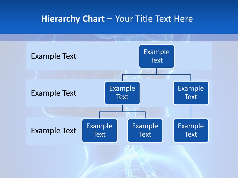 The Human Brain Powerpoint Presentation Is Shown PowerPoint Template