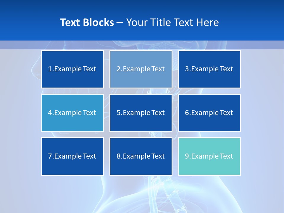 The Human Brain Powerpoint Presentation Is Shown PowerPoint Template