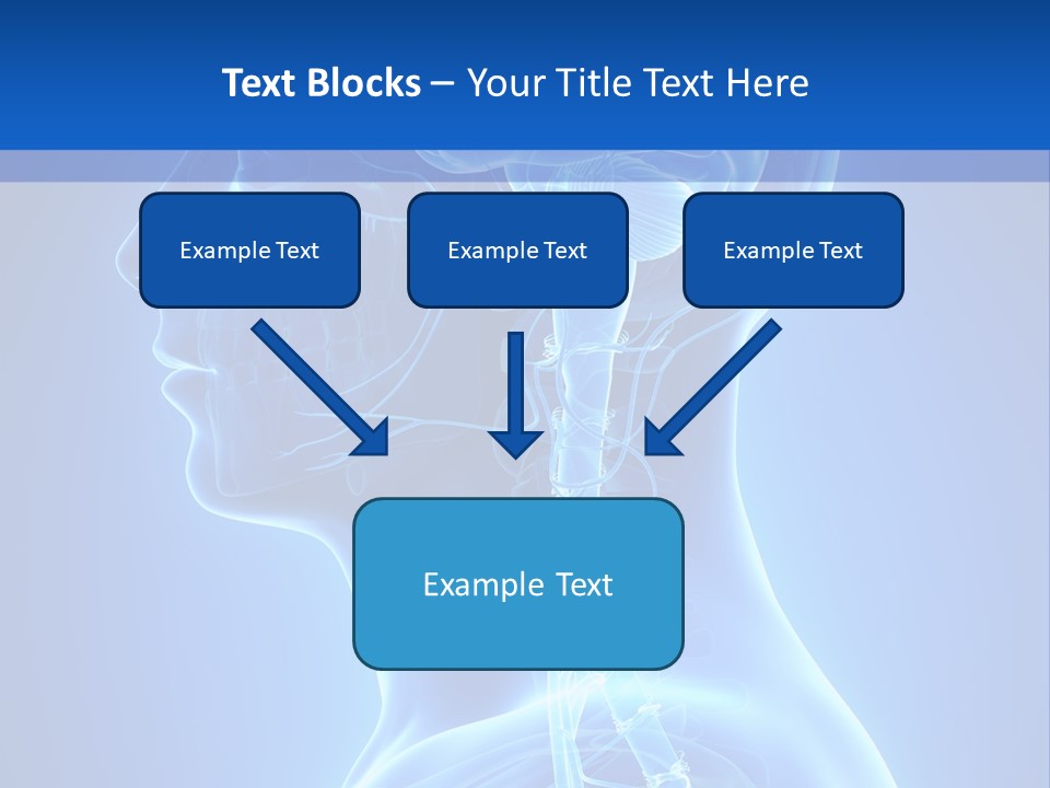 The Human Brain Powerpoint Presentation Is Shown PowerPoint Template