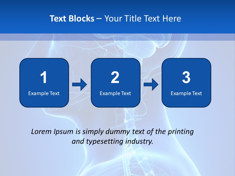 The Human Brain Powerpoint Presentation Is Shown PowerPoint Template