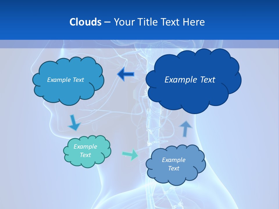 The Human Brain Powerpoint Presentation Is Shown PowerPoint Template