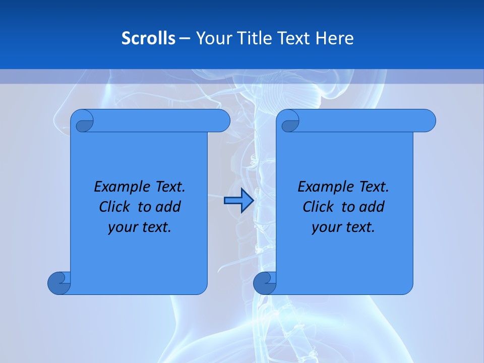 The Human Brain Powerpoint Presentation Is Shown PowerPoint Template