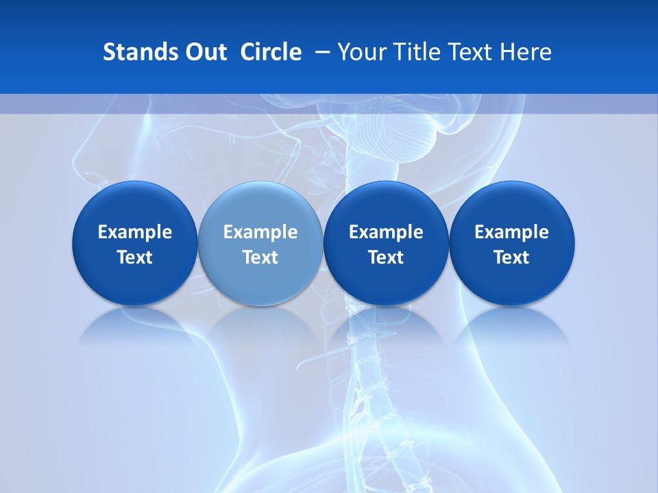 The Human Brain Powerpoint Presentation Is Shown PowerPoint Template
