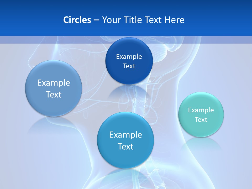 The Human Brain Powerpoint Presentation Is Shown PowerPoint Template