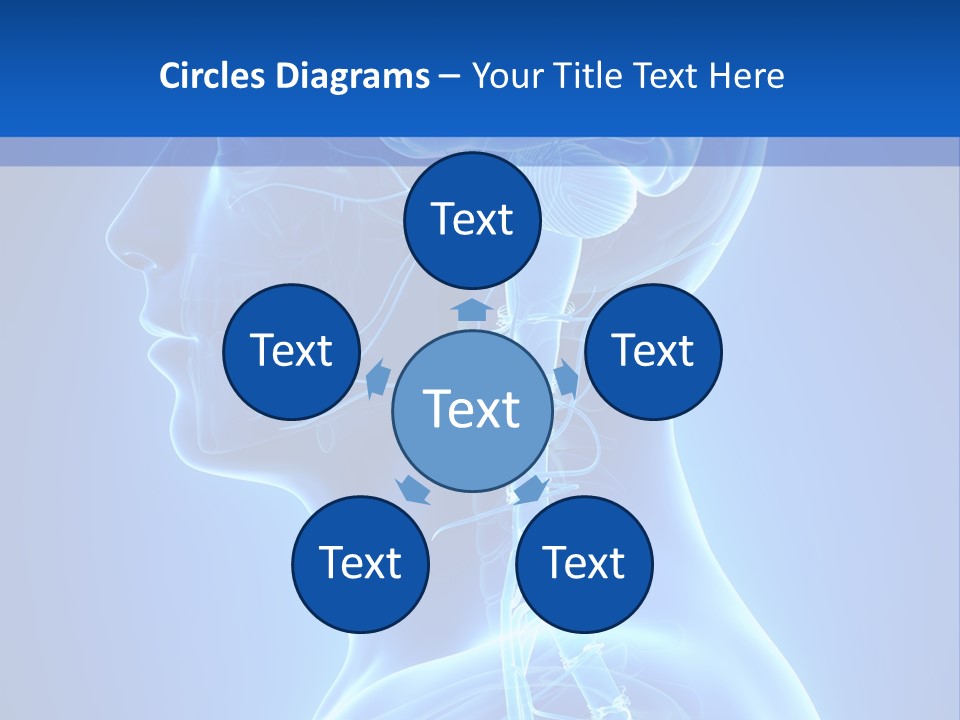 The Human Brain Powerpoint Presentation Is Shown PowerPoint Template