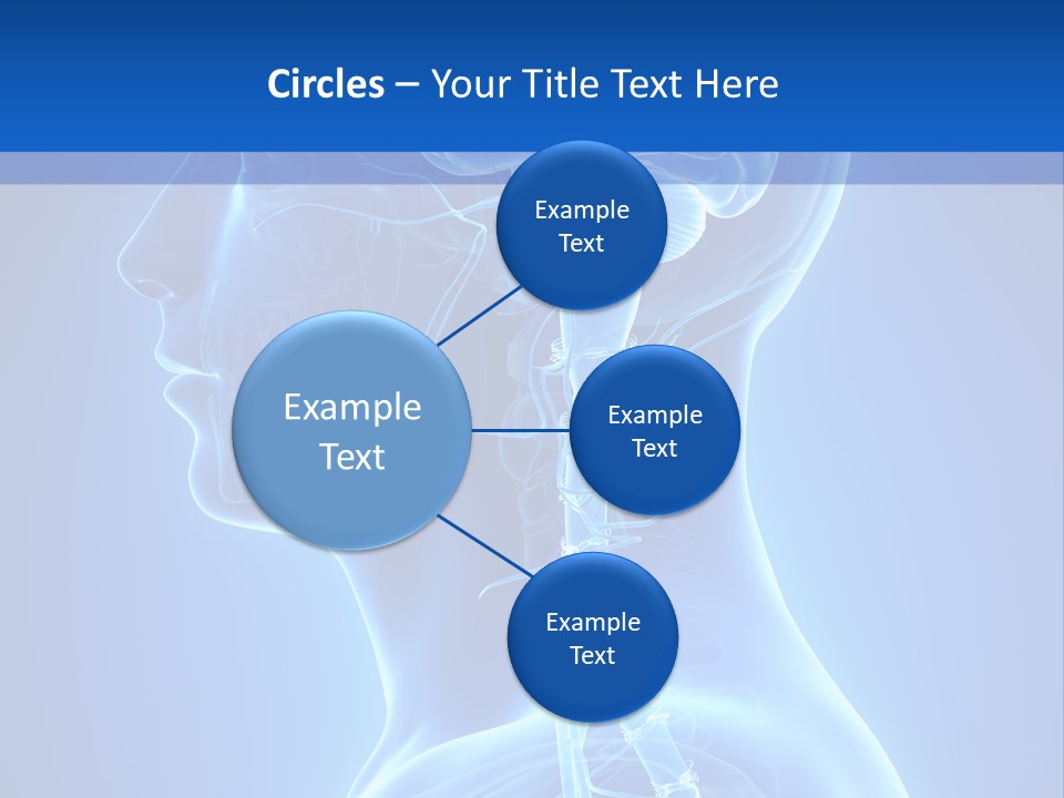 The Human Brain Powerpoint Presentation Is Shown PowerPoint Template