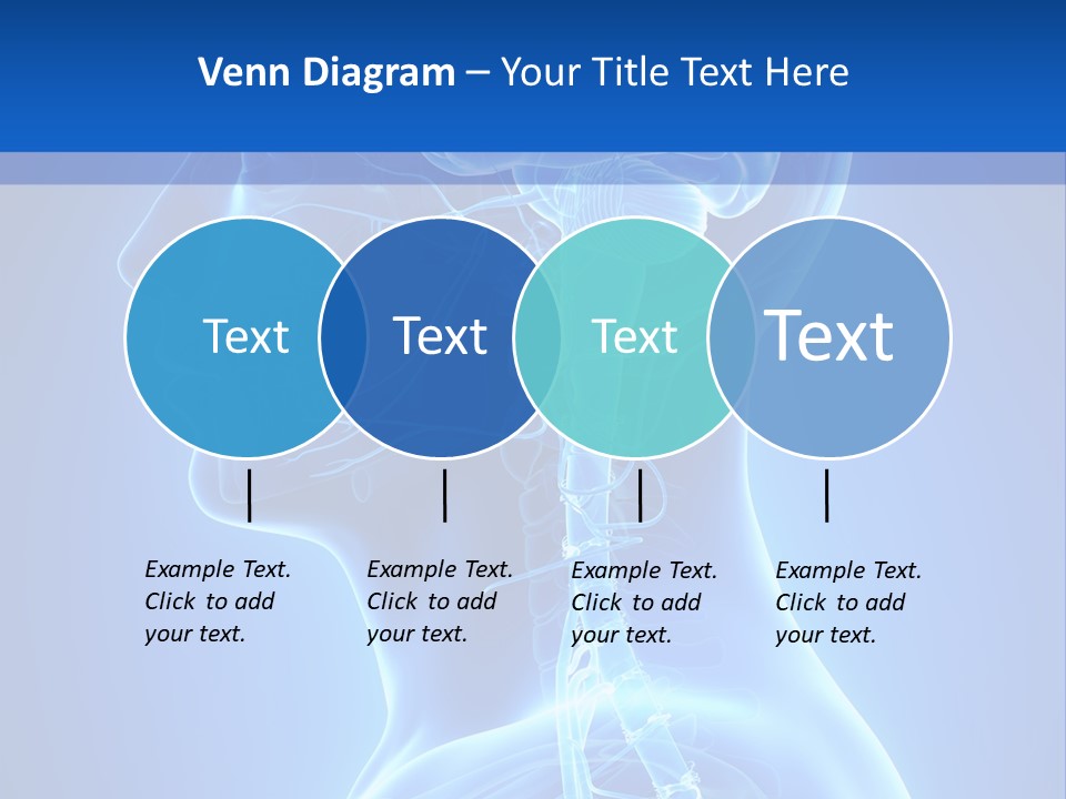 The Human Brain Powerpoint Presentation Is Shown PowerPoint Template
