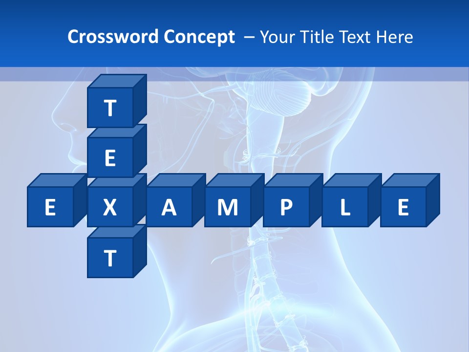 The Human Brain Powerpoint Presentation Is Shown PowerPoint Template