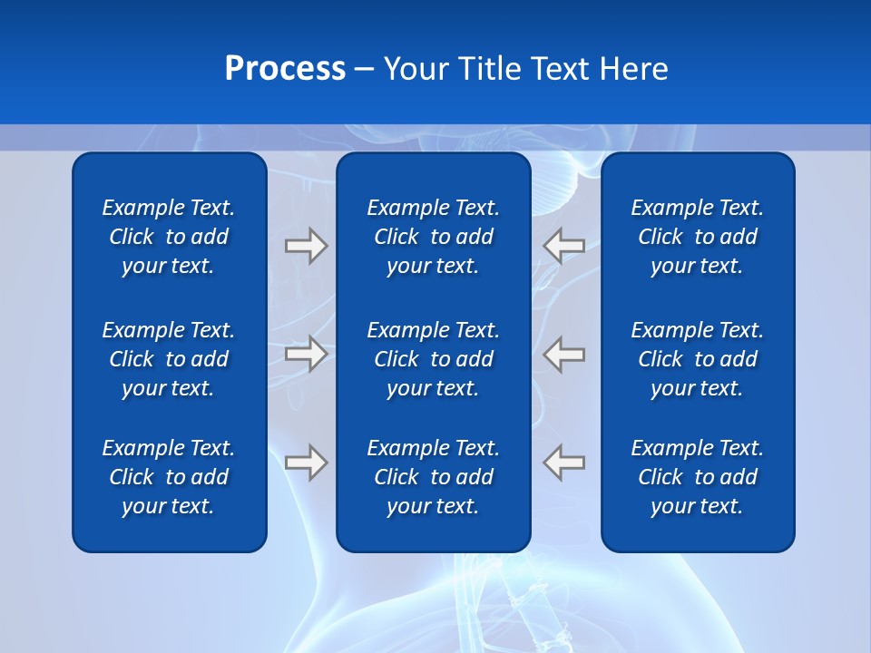 The Human Brain Powerpoint Presentation Is Shown PowerPoint Template