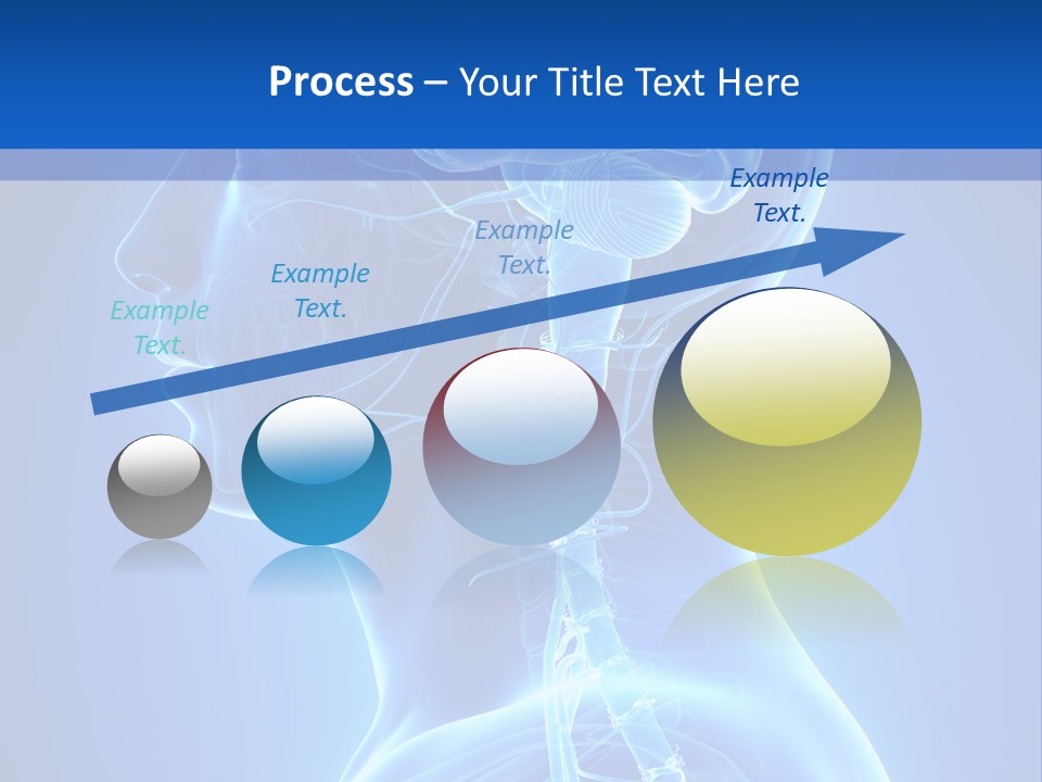The Human Brain Powerpoint Presentation Is Shown PowerPoint Template