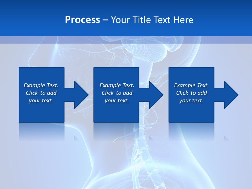 The Human Brain Powerpoint Presentation Is Shown PowerPoint Template