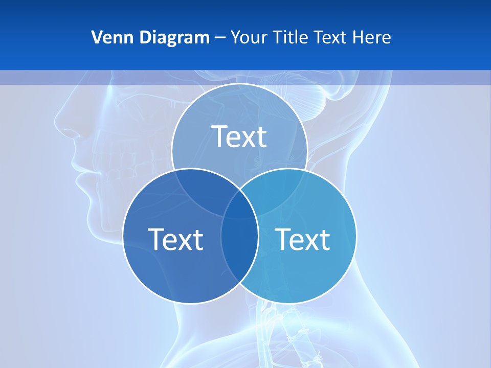 The Human Brain Powerpoint Presentation Is Shown PowerPoint Template