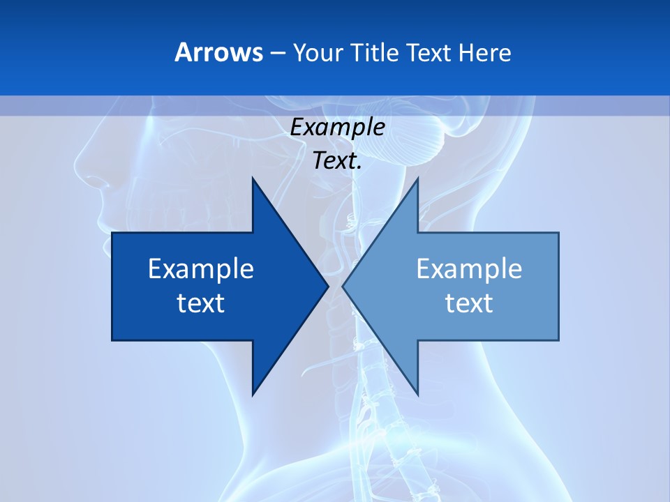 The Human Brain Powerpoint Presentation Is Shown PowerPoint Template