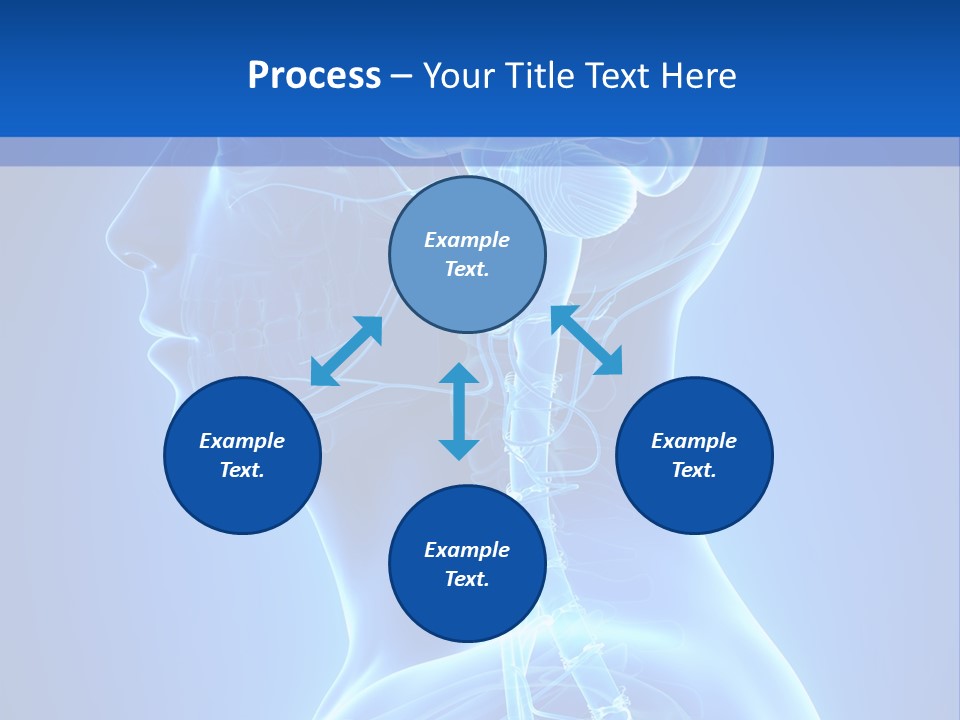 The Human Brain Powerpoint Presentation Is Shown PowerPoint Template