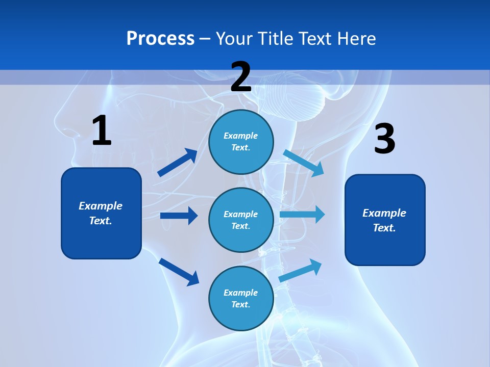The Human Brain Powerpoint Presentation Is Shown PowerPoint Template