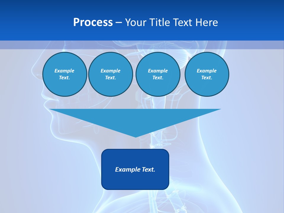 The Human Brain Powerpoint Presentation Is Shown PowerPoint Template