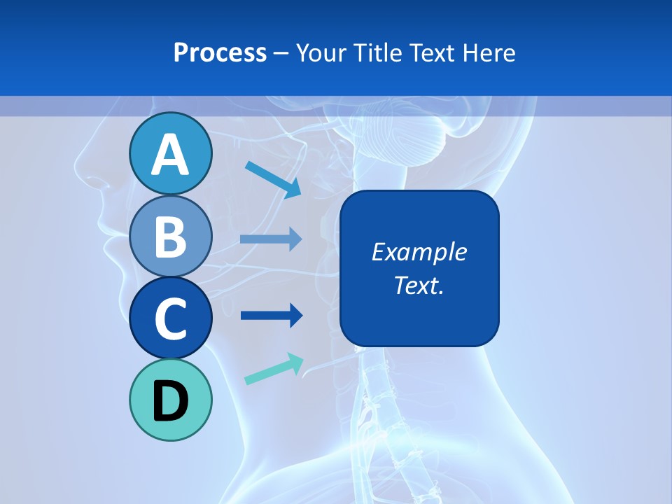 The Human Brain Powerpoint Presentation Is Shown PowerPoint Template