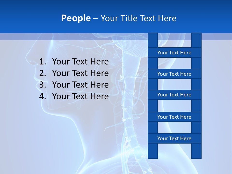 The Human Brain Powerpoint Presentation Is Shown PowerPoint Template