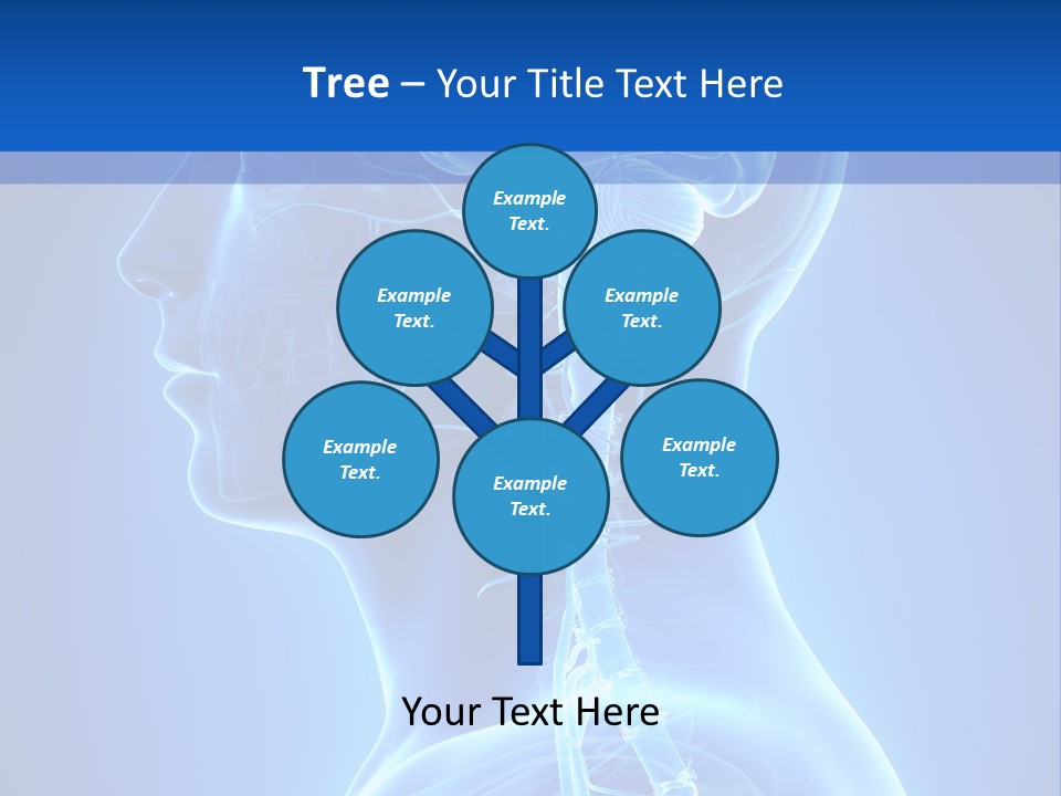 The Human Brain Powerpoint Presentation Is Shown PowerPoint Template