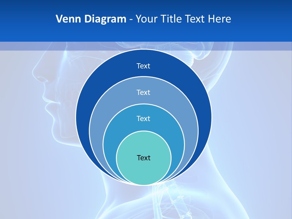 The Human Brain Powerpoint Presentation Is Shown PowerPoint Template