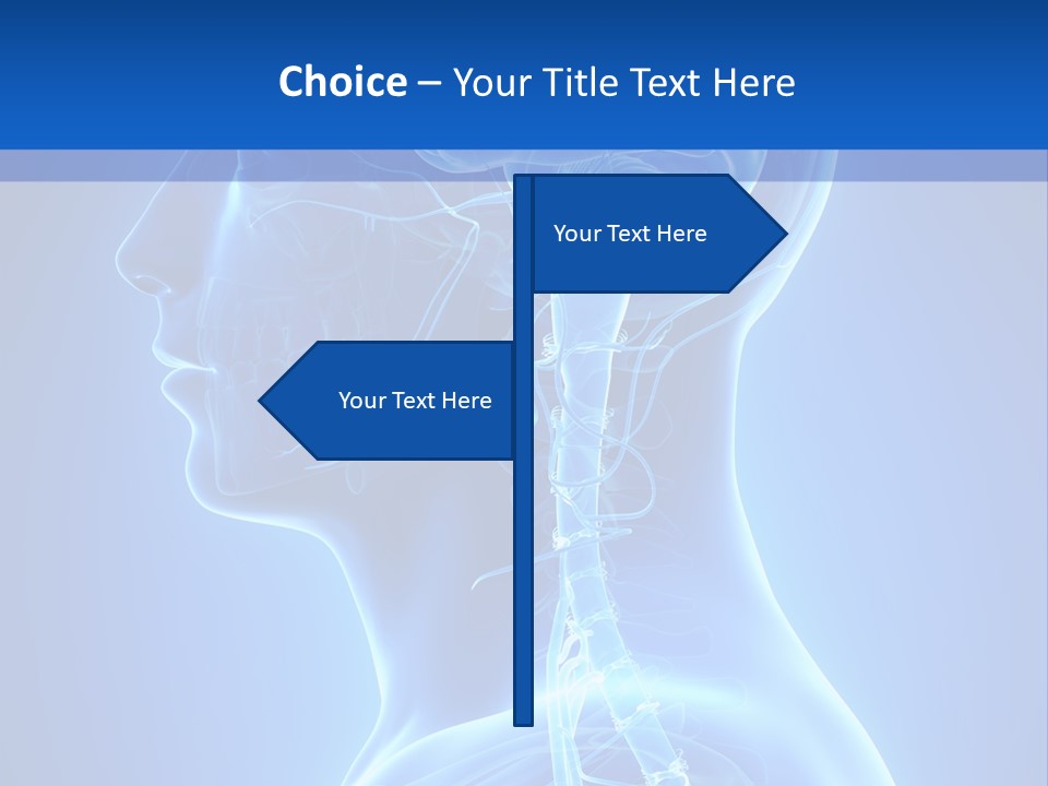 The Human Brain Powerpoint Presentation Is Shown PowerPoint Template