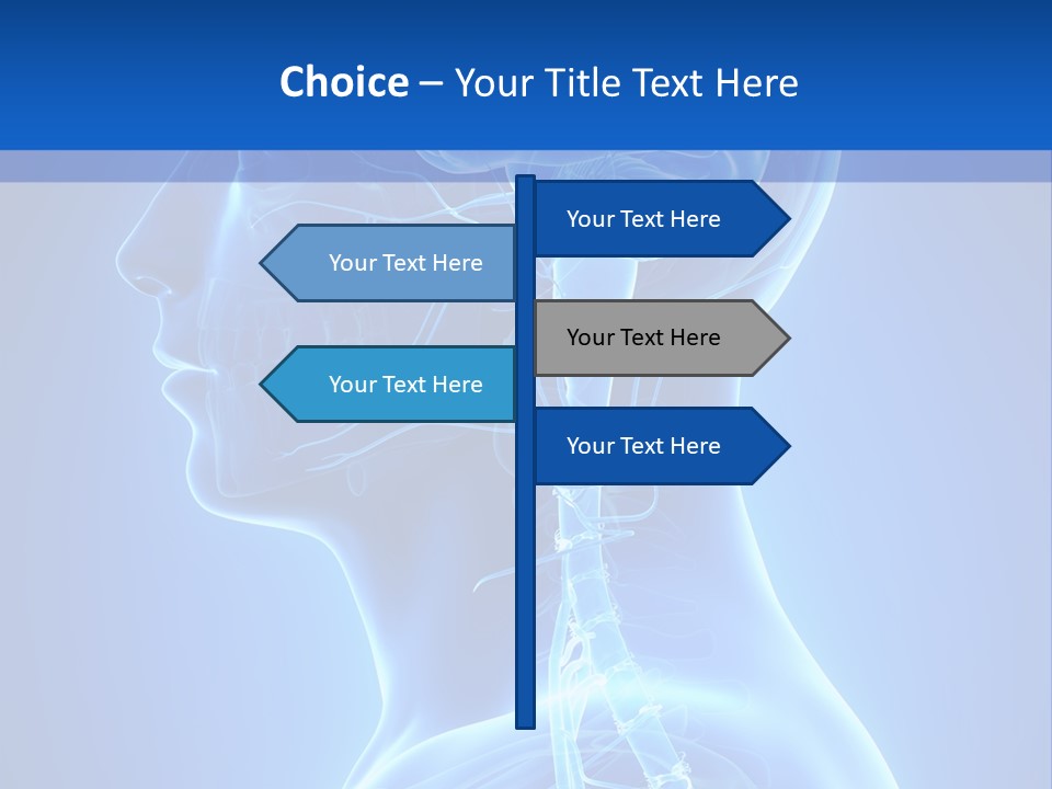 The Human Brain Powerpoint Presentation Is Shown PowerPoint Template