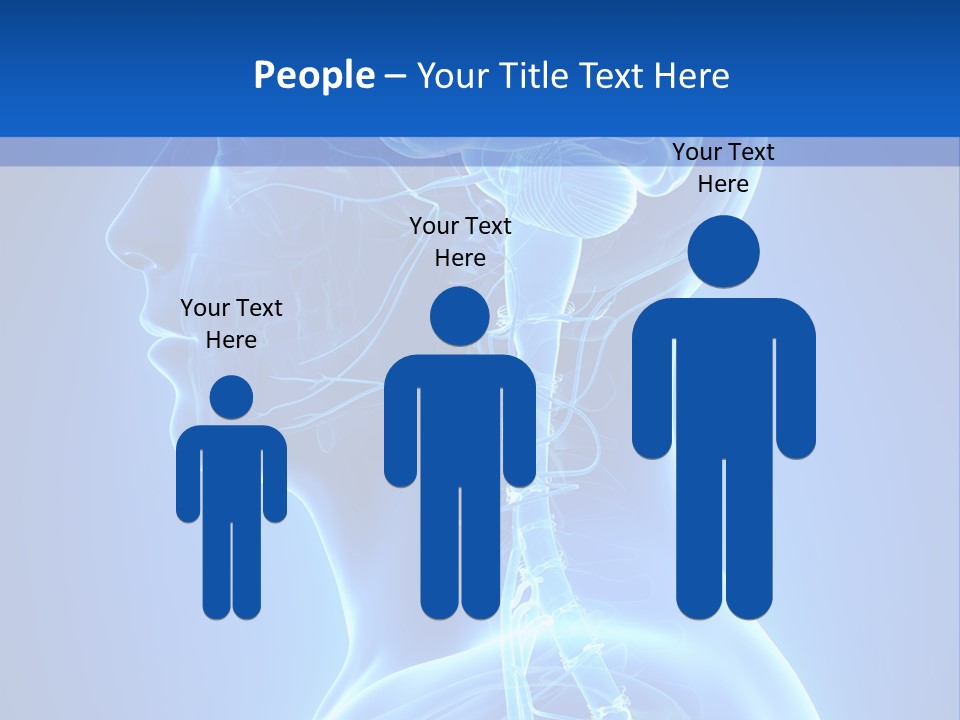The Human Brain Powerpoint Presentation Is Shown PowerPoint Template