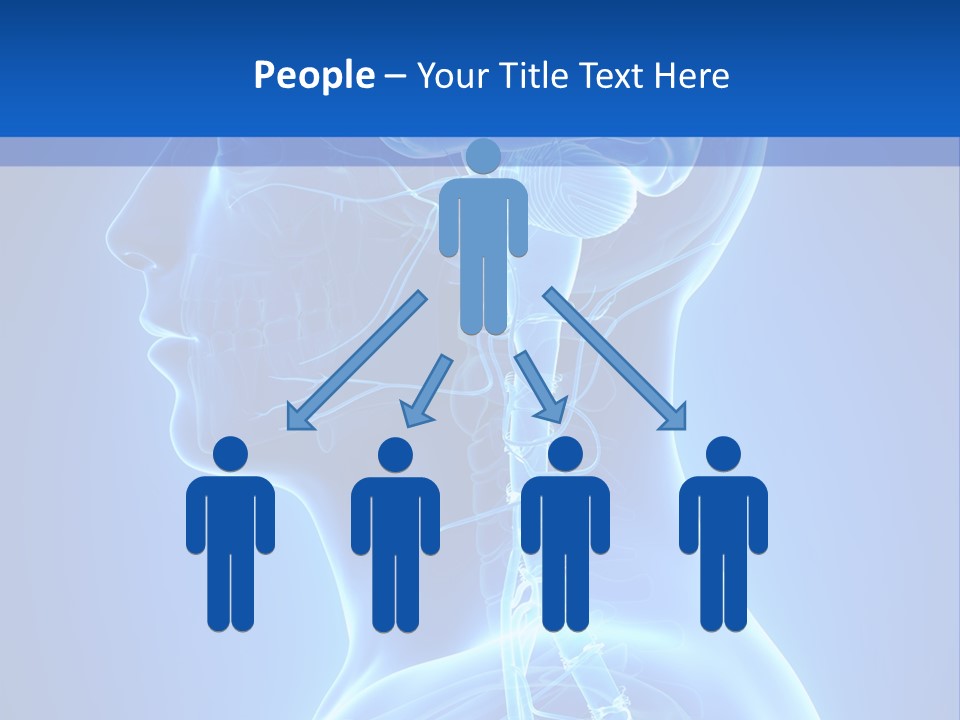The Human Brain Powerpoint Presentation Is Shown PowerPoint Template