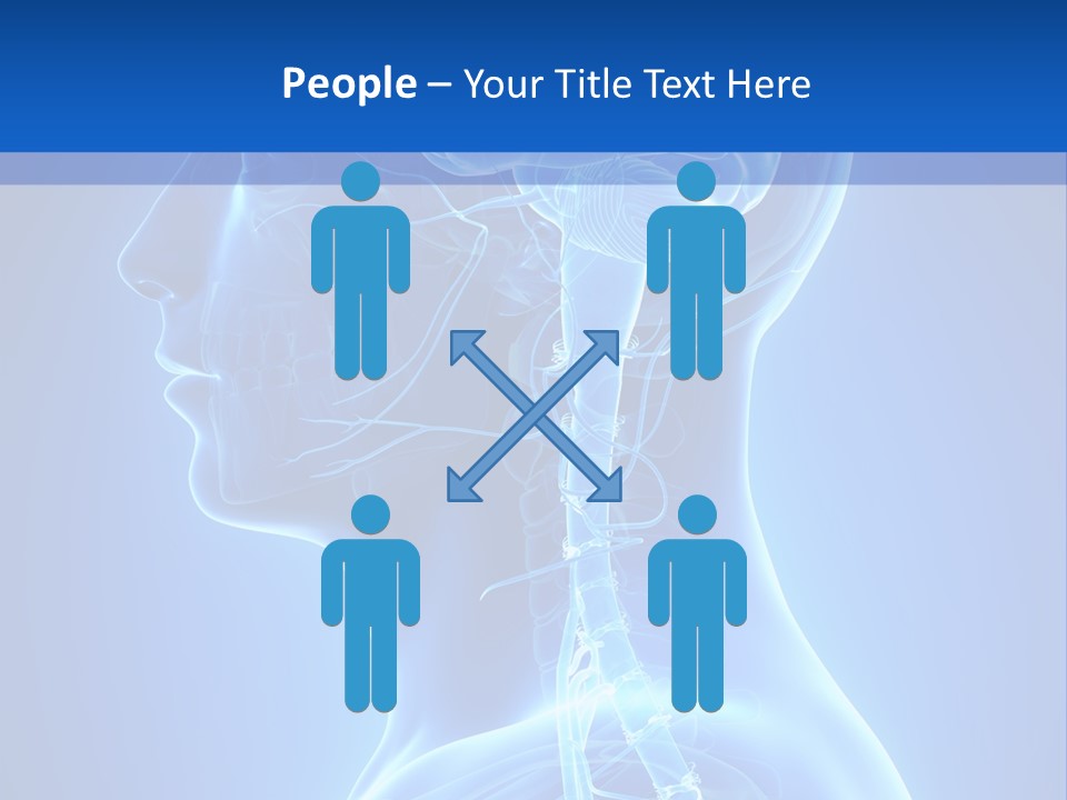 The Human Brain Powerpoint Presentation Is Shown PowerPoint Template