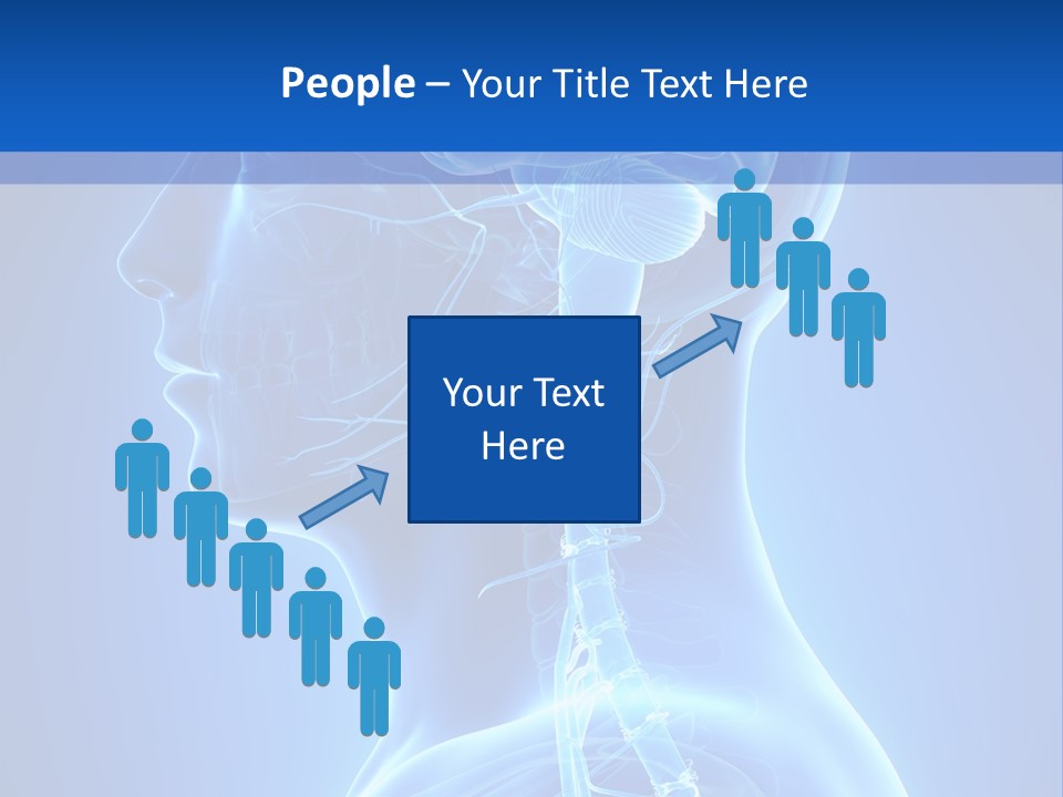 The Human Brain Powerpoint Presentation Is Shown PowerPoint Template