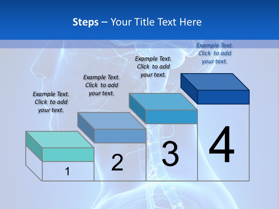 The Human Brain Powerpoint Presentation Is Shown PowerPoint Template