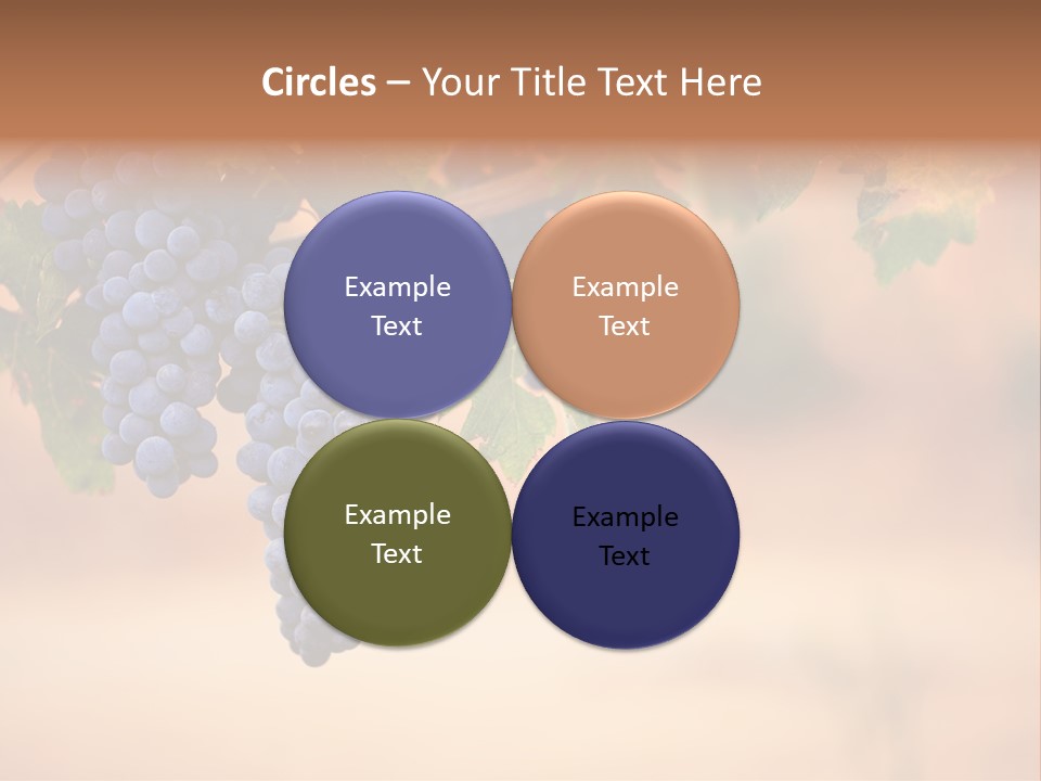 A Bunch Of Grapes Hanging From A Vine PowerPoint Template