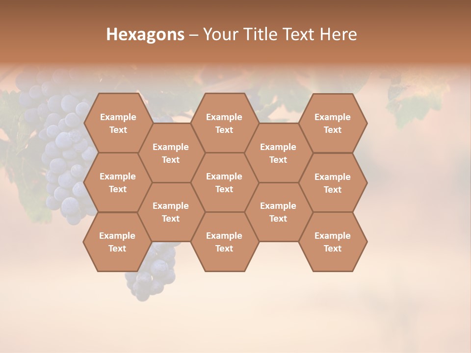 A Bunch Of Grapes Hanging From A Vine PowerPoint Template