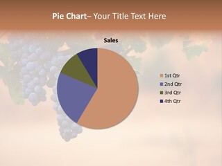 A Bunch Of Grapes Hanging From A Vine PowerPoint Template