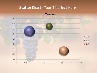 A Bunch Of Grapes Hanging From A Vine PowerPoint Template