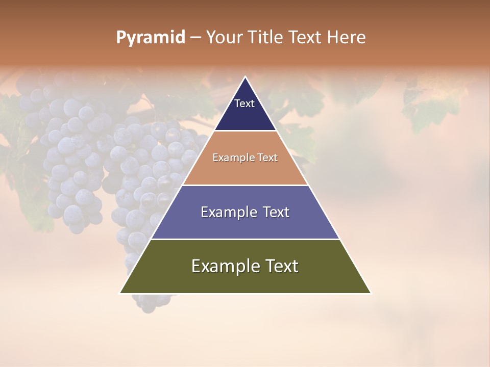 A Bunch Of Grapes Hanging From A Vine PowerPoint Template